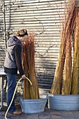 Make your own wicker basket for climbing plants (3/17)