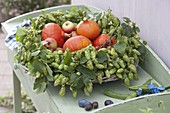 Wreath of Humulus lupulus (hops) on a wicker bowl