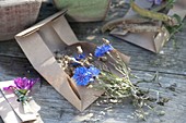 Collect seeds in homemade paper bags and give away as a gift