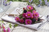 Kleiner Strauß aus Aster (Herbstastern) und Brombeeren (Rubus)