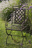 Iron chair by the grass bed with Pennisetum (feather bristle grass) and Verbena