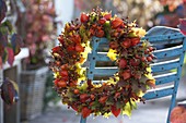 Autumn wreath of physalis (lampion fruits), rose (rose hips)