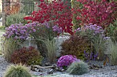 Herbstliches Kiesbeet mit Gräsern und Stauden