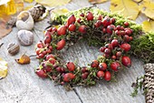 Small wreath of rose (rosehip) and moss, cones and snail shells