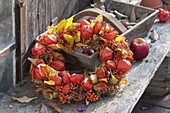 Wreath made of physalis (lantern flower), pyracantha (firethorn)