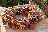 Wreath of leaves of strawberries (Fragaria), Malus (ornamental apples), Calluna