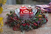 Autumn wreath with Gaultheria procumbens (false berry), Calocephalus