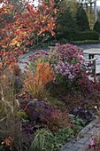 Autumn border with woody plants and perennials