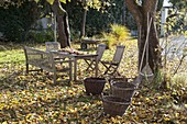 Autumn leaves in the garden