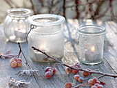 Gefrorene Gläser als Windlichter, Malus (Zieräpfel)