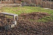 Autumn leaves and bench on the lawn