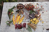 Legebilder aus Blättern und Früchten Zutaten-Tableau