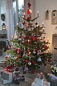 Abies nordmanniana (Nordmann fir) decorated with red and silver baubles