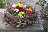 Cornus wreath - branches, deadwood and grass