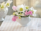 Small bouquet of helleborus niger (Christmas rose) and cyclamen