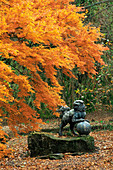 Foo Dog aus Bronze auf einer Cloisonne-Emaille-Kugel, umgeben von einem Acer palmatum in herbstlichen Farbtönen