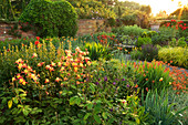 WOLLERTON Old HALL, SHROPSHIRE. SUMMER BORDER: VIEW ACROSS LANHYDROCK Garden SHOWING AQUILEGIA, PAPAVER