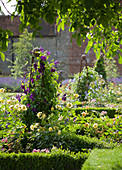 Beete mit Buchseinfassungen, Metallstativen (Obelisken) und Clematis