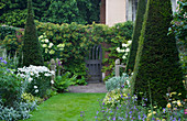 Blick vom Eibenweg in Richtung Tor (Eingang) mit Hydrangea Paniculata 'Unique' in Töpfen und Shasta-Gänseblümchen Leucanthemum 'Phyllis Smith'