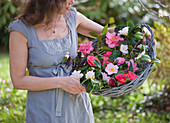 TREGOTHNAN, Cornwall: Girl HOLDING BASKET FILLED with Mixed Heritage Camellia FLOWERS