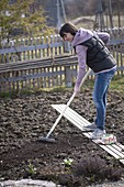 Frau glättet mit einem Rechen im Frühjahr den Boden als Vorbereitung