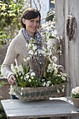 Frau bepflanzt Korb mit weißen Frühlingsblühern