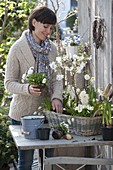 Woman planting basket with white spring bloomers