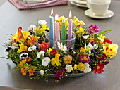 Wreath of Vaccinium (blueberry branches) with flowers of Bellis