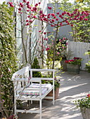 Spring terrace with flowering ornamental peach