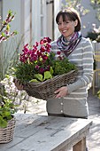 Frau mit bepflanztem Weidenkorb : Primula elatior (Hoher Primel), Rucola