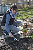 Woman covering seeds of radish (Raphanus) with soil in seed groove