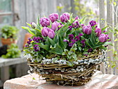 Homemade wicker basket with kitten willow, willow and grass