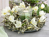 Kranz aus weißen Blüten : Tulipa (Tulpen) und Zweige von Prunus spinosa