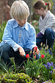 Kinder schneiden Blumen im Frühlingsbeet