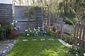 Shady small garden by a small river, spring bed with Tulipa