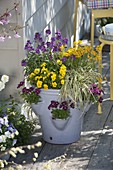 Pocket amphora with Viola cornuta (horned violet), Erysimum