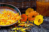 Petals of calendula (marigolds) to dry and process in bowl