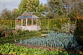 Vegetable garden with pavilion, hedge and beds with buxus (boxwood border), leek (Allium porrum)