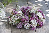 Flowering wreath of Malus (ornamental apple) and Spiraea (spirea)