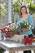 Woman planting Verbena Vepita 'Fire Red' in a balcony box