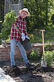 Man planting rose stems in the bed