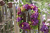 Hydrangea (Hydrangea) and Alchemilla flowers wreath