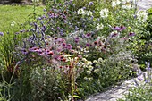 Perennial bed in a colour gradient white-pink-purple