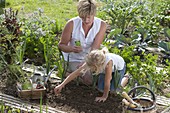 Mutter und Tochter säen Spinat (Spinacia oleracea) ins Gemüsebeet