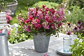 Red-pink bouquet of Antirrhinum (snapdragon) and mint
