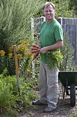 Man with freshly harvested carrots (Daucus carota)