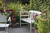 White bench between summer flowers