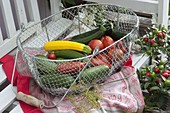 Freshly harvested vegetables in wire basket