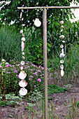Wind chimes with strung shells
