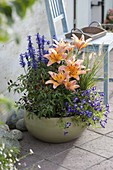 Green bowl with Lilium Passion 'Ladylike' (lilies), Salvia farinacea
